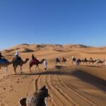 4-Day Private Merzouga Desert Tour From Marrakech - Who Should Take This Tour?