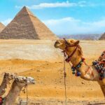 4-day Private Tour in Cairo - The Value and Practicalities: What You Need to Know