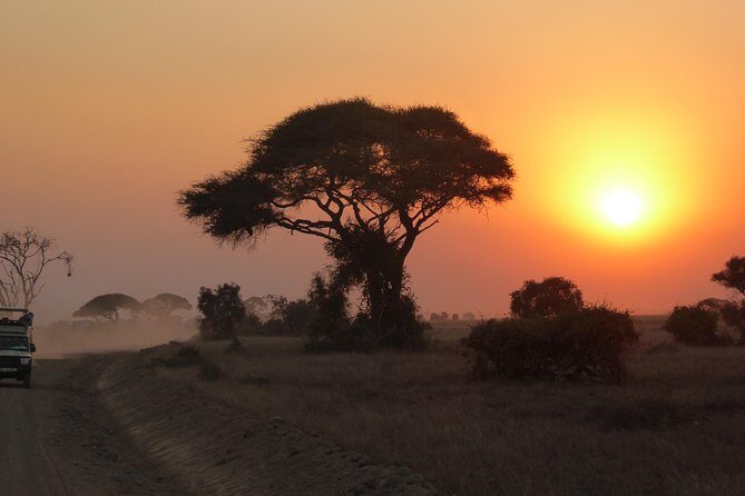 4-Day Safari: Lake Manyara, Serengeti & Ngorongoro - The Full Experience: Breaking Down the 4-Day Safari