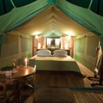 4 Day Serengeti Luxury Tented Camps Safari - What Sets This Safari Apart