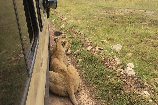 4-Day Serengeti, Ngorongoro,Tarangire safari - Authentic Experiences from Past Travelers