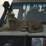 4-Day Small-Group Tour of Tanzania - What Makes This Tour Stand Out?