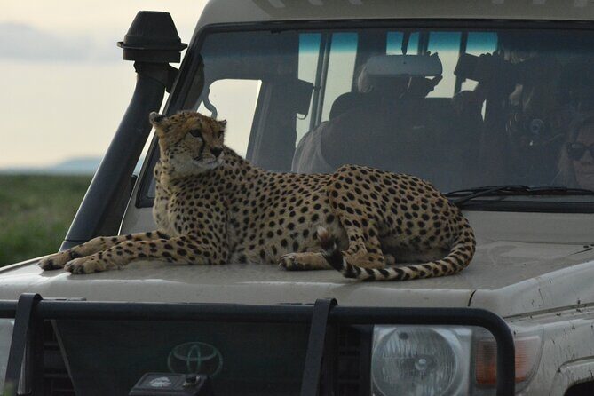 4-Day Small-Group Tour of Tanzania - What Makes This Tour Stand Out?