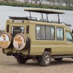 4-Day Tanzania Private Luxury Drive In-Drive Out Safari 2025-2026 - The Itinerary: Step-by-step Experience Breakdown