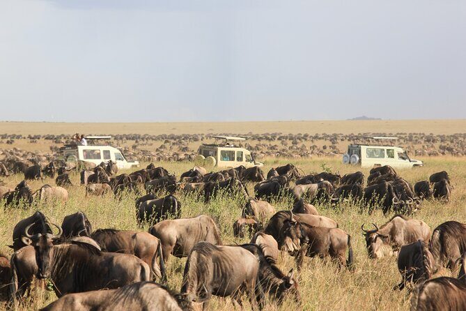 4 Day Tanzania Safari Tarangire Serengeti and Ngorongoro Bliss - The Sum Up