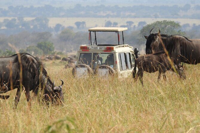 4-Day Tarangire, Serengeti, Ngorongoro Crater - Itinerary Breakdown: What You Can Expect