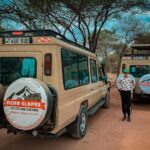 4-Day Tarangire Serengeti, Ngorongoro & Maasai Guided group tour - Why Travelers Love This Tour