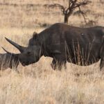 4 Day: Taste of Wildlife - Practical Details and What Sets This Tour Apart