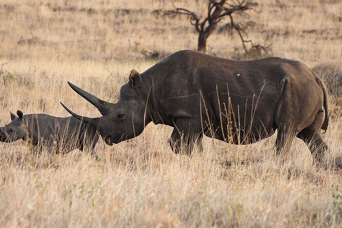 4 Day: Taste of Wildlife - Practical Details and What Sets This Tour Apart