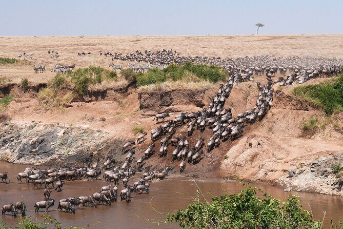 4-Day Tour to Tarangire, Serengeti and Ngorongoro - An In-Depth Look at the 4-Day Safari Experience