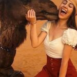 4 days 3 nights desert tour from Marrakech to Merzouga - Practical Details and Value