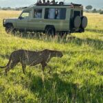 4 Days 4WD Private Maasai Mara, Nakuru Parks with Lodge LUXURY - What Makes This Safari Stand Out
