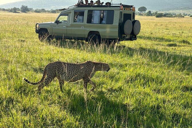 4 Days 4WD Private Maasai Mara, Nakuru Parks with Lodge LUXURY - What Makes This Safari Stand Out