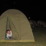 4 days adventure camping safari - What’s Included and What You’ll Need to Budget For