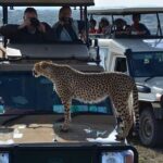 4-Days Adventure Camping Safari to Tarangire, Serengeti & Ngorongoro - What Sets This Tour Apart?