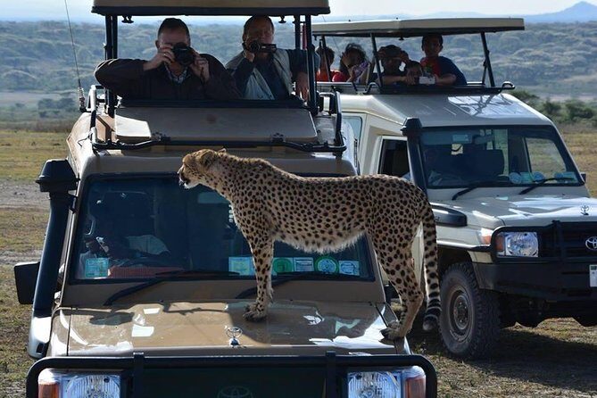 4-Days Adventure Camping Safari to Tarangire, Serengeti & Ngorongoro - What Sets This Tour Apart?