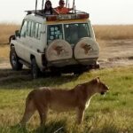 4 Days Affordable Tanzania Budget Safari - What You Get for Your Money