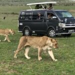 4 Days Amazing Maasai Mara and Lake Nakuru Budget Safari - Day 3: From Maasai Mara to Lake Nakuru