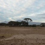 4 Days Amboseli & Tsavo West Wildlife Safari - What Makes This Safari Stand Out?