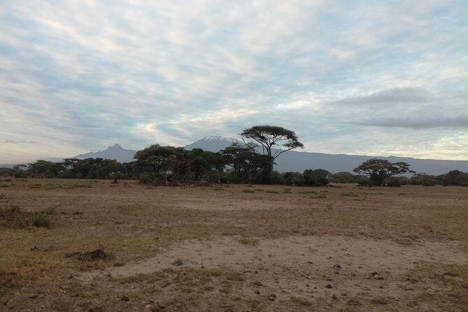 4 Days Amboseli & Tsavo West Wildlife Safari - What Makes This Safari Stand Out?