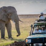 4 days Awesome Luxury safari Tarangire Serengeti & Ngorongoro - Authentic Experiences & Hidden Gems