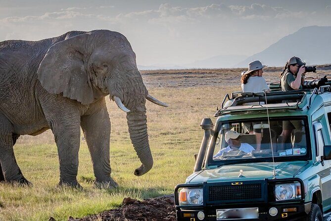 4 days Awesome Luxury safari Tarangire Serengeti & Ngorongoro - Authentic Experiences & Hidden Gems