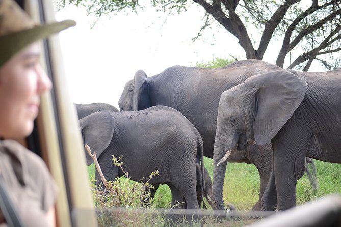 4 days Best experience Kilimanjaro Hike, Serengeti &Ngorongoro - Exploring Ngorongoro: The Crater and Local Cultures