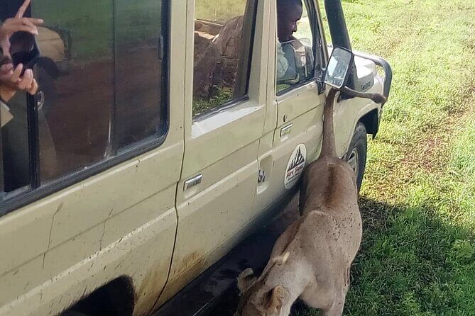 4 Days Big 5 Tour & Cultural Experience - What’s Included and What’s Not