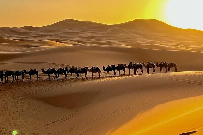 4 Days Desert Tour From Marrakech to Fes via Merzouga Dunes - The Sum Up
