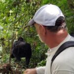 4 Days Gorilla and Chimps trek safari - Practical Aspects to Keep in Mind