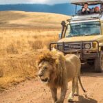 4 Days Group Joining Camping Tanzania safari - What Sets This Safari Apart?