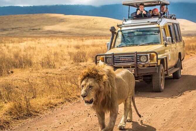4 Days Group Joining Camping Tanzania safari - What Sets This Safari Apart?