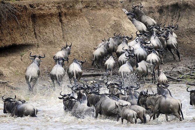 4 days Join Group safari in Serengeti, Ngorongoro and Lake Manyara National Park - Overview of the 4-Day Safari Experience