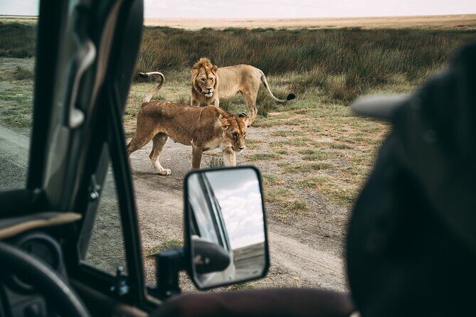 4 Days Lodge Safari in Lake Manyara, Serengeti & Ngorongoro Crater - Day 2: The Serengeti Plains
