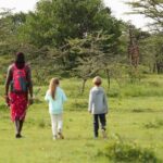 4 Days lodge safari Tarangire , Ngorongoro crater & Walking - What Makes This Safari Special