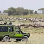 4 Days Masai Mara and Lake Nakuru Luxury Safari on 4x4 Jeep - The Sum Up