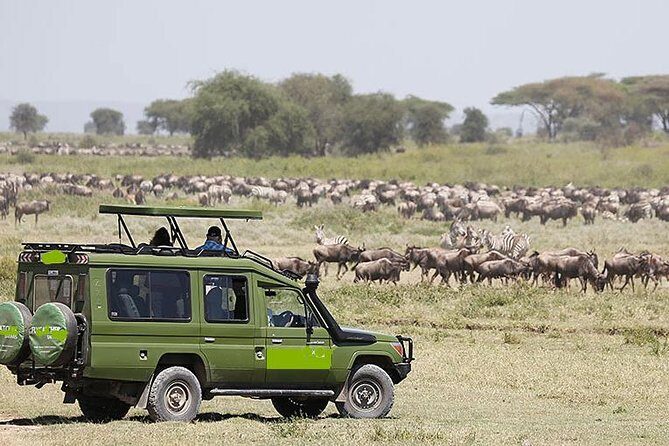 4 Days Masai Mara and Lake Nakuru Luxury Safari on 4x4 Jeep - The Sum Up