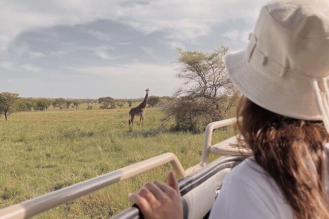 4 Days Masai Mara and Lake Nakuru Mid-Luxury safari - What Makes This Safari Stand Out?