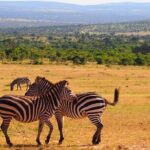 4 Days Masai Mara & Lake Nakuru Budget Group Safari in a 4x4 Jeep - Practical Tips for Future Travelers