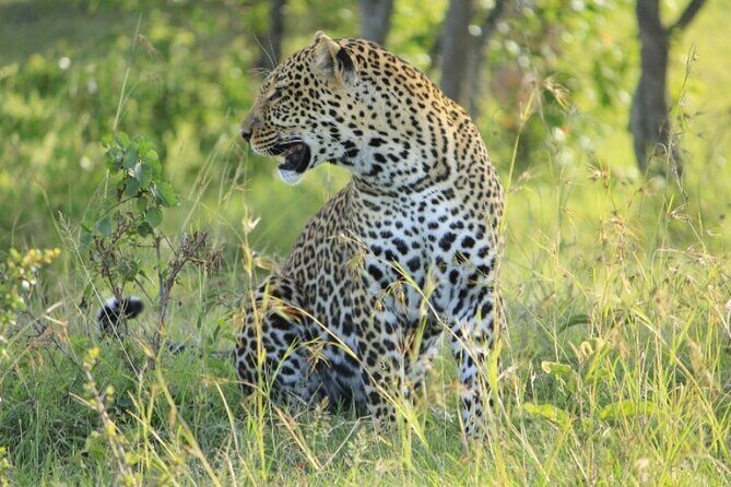 4 Days Masai Mara & Lake Nakuru Group Joining Safari - What’s Included and What’s Not
