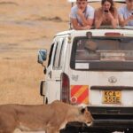 4 Days Masai Mara Lake Nakuru Jeep Safari - What Makes This Safari Stand Out