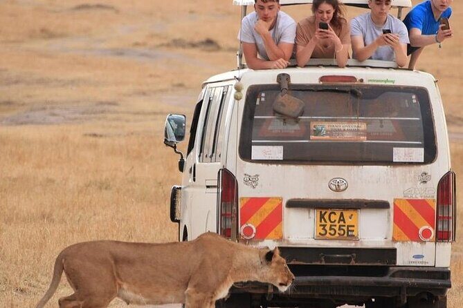 4 Days Masai Mara Lake Nakuru Jeep Safari - What Makes This Safari Stand Out