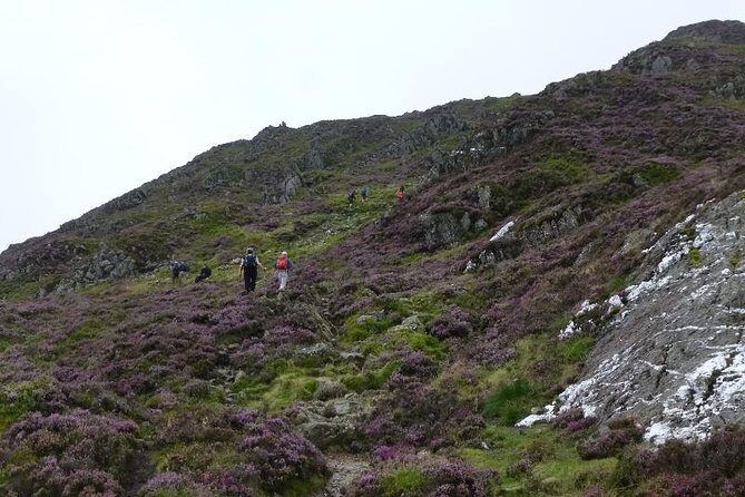 4 Days Mount Kenya - Introduction