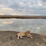 4 days Ngorongoro crater, Tarangire and Serengeti national park - Transportation and Group Size