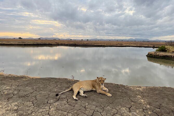 4 days Ngorongoro crater, Tarangire and Serengeti national park - Transportation and Group Size