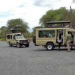 4 Days Private Midrange Lodge Safari to Serengeti & Ngorongoro - What Sets This Safari Apart?