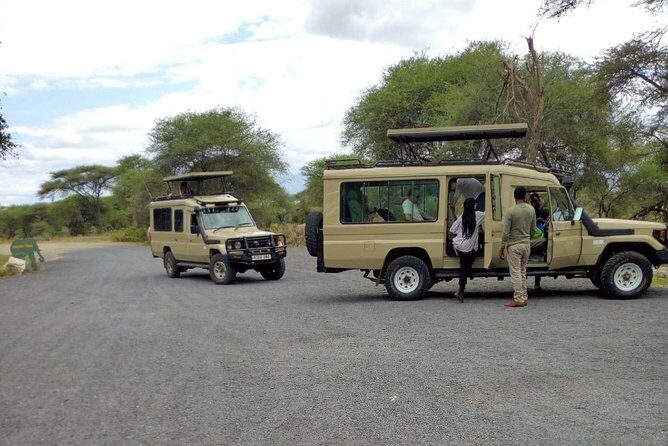 4 Days Private Midrange Lodge Safari to Serengeti & Ngorongoro - What Sets This Safari Apart?