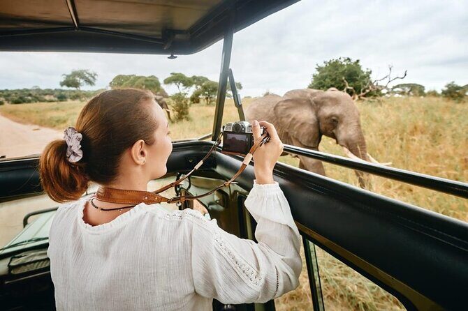4-Days Private Midrange Safari Tarangire, Serengeti & Ngorongoro - Authentic Insights from Travelers
