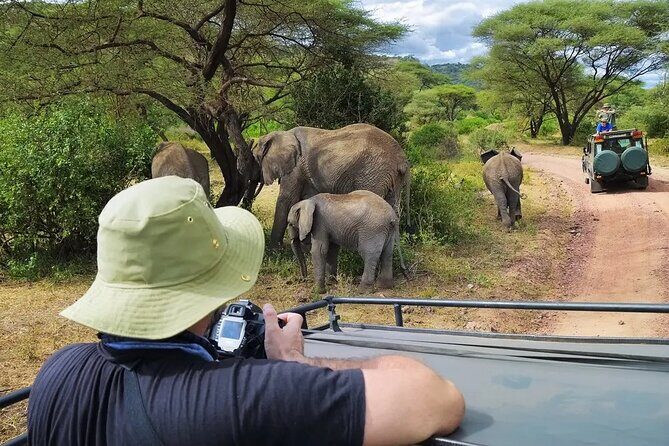 4-Days Private Midrange, Tarangire Ngorongoro, Manyara & Materuni - Practical Details That Matter
