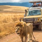4 Days Private Safari - Tarangire, Serengeti & Ngorongoro Crater - Practical Details and What to Expect